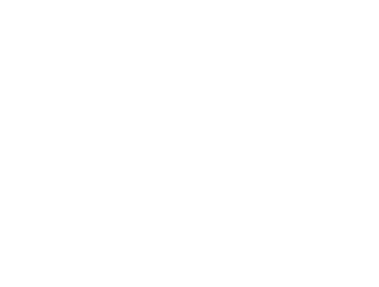 SERVICE サービス内容 幅広い分野での経営支援（SX・GX策定支援）