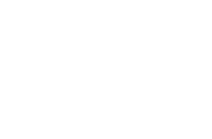 SERVICE サービス内容 幅広い分野での経営支援（DX支援）